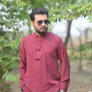 প্রিমিয়াম মাইক্রোস্টিজ ভাঙচুর ফেব্রিক সলিড পাঞ্জাবি